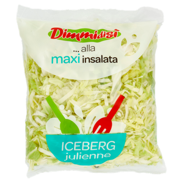 DimmidiSì ... alla maxi insalata Iceberg julienne 500 g