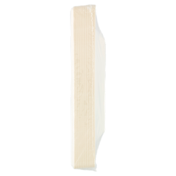 Biò Piatti Polpa di Cellulosa 25 pz