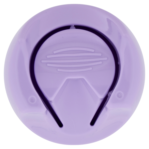 Citrosil Home Protection - Spray Disinfettante con essenze di lavanda, 300 ml