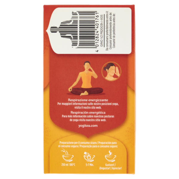 Yogi Tea Zenzero Arancio Bio infuso ayurvedico di erbe con zenzero, scorza d'arancia, vaniglia-30,6g