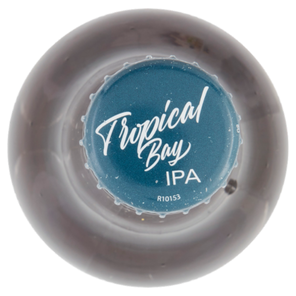 Biscayne Bay Brewing Tropical Bay IPA 33 cl