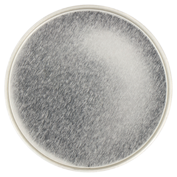 Well Bontà di Brodo Granulare Biologico Classico 150 g