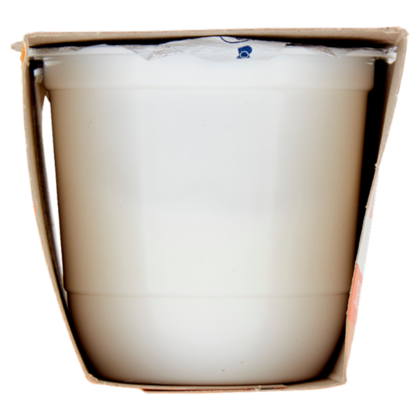 ZYMIL Alta Digeribilità Senza Lattosio Yogurt Bianco 2 x 125 g