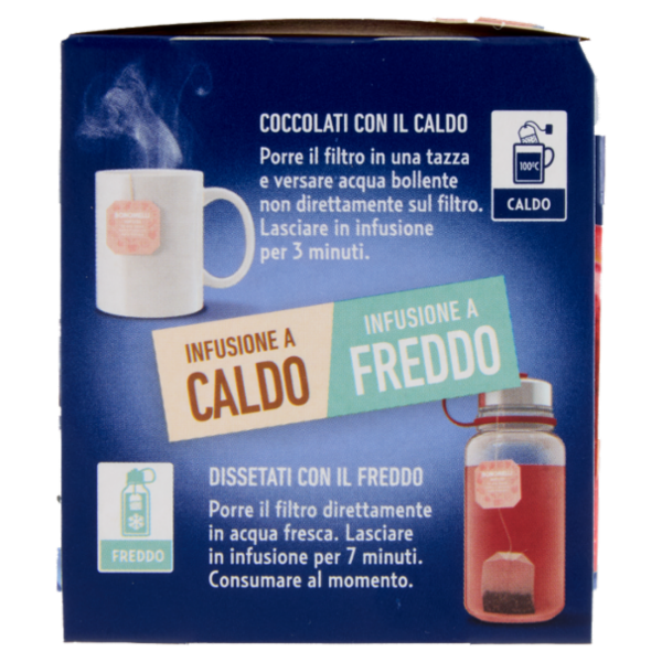 Bonomelli Infusi Fruttosi 100% Naturali Mela e Mirtillo 12 Filtri 24 g