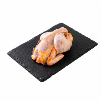 Gallina A Busto