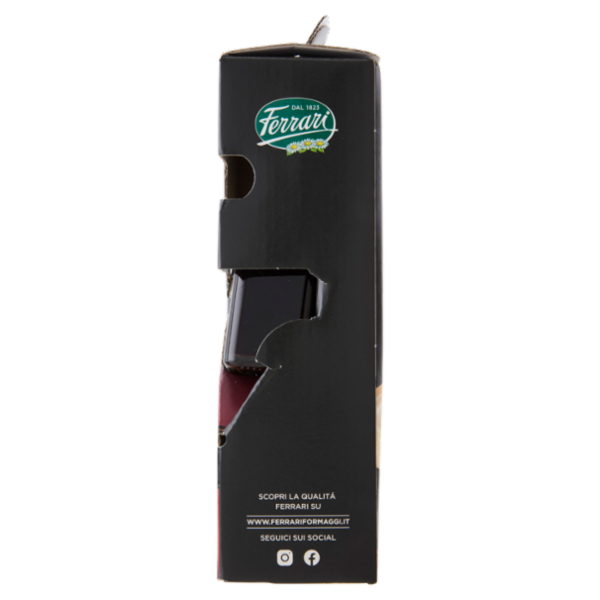 Ferrari Grana Padano DOP 400g con Condimento Agrodolce a base di 
