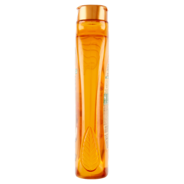 Garnier Ultra Dolce Shampoo Meraviglioso all'olio d'argan e di camelia per capelli secchi, 300 ml