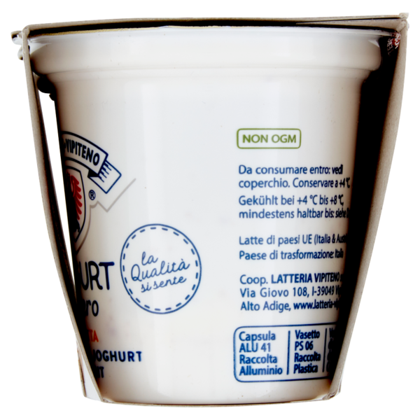 Sterzing Vipiteno Yogurt intero Frutta e Cereali Senza Glutine 2 x 125 g