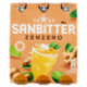 SANBITTÈR Zenzero 3x20cl