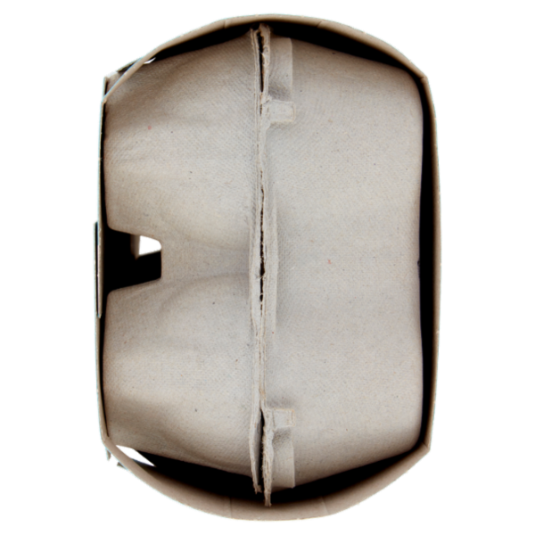 Consilia 10 Uova Fresche Medie da Allevamento a Terra Categoria A