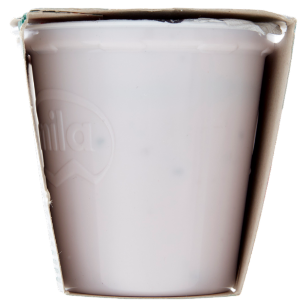 mila Yogurt Intero Frutti di bosco 2 x 125 g
