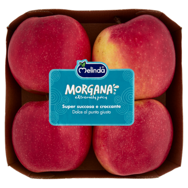 Melinda Morgana 0,900 kg