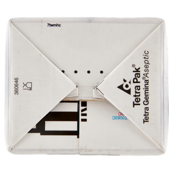 IL GIGANTE Ananas 1500 ml