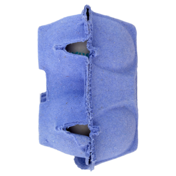 IL GIGANTE 6 Uova da allevamento a terra Uova Medie