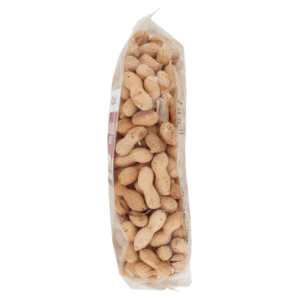 Consilia Frutta Secca Arachidi Tostate in Guscio 500 g