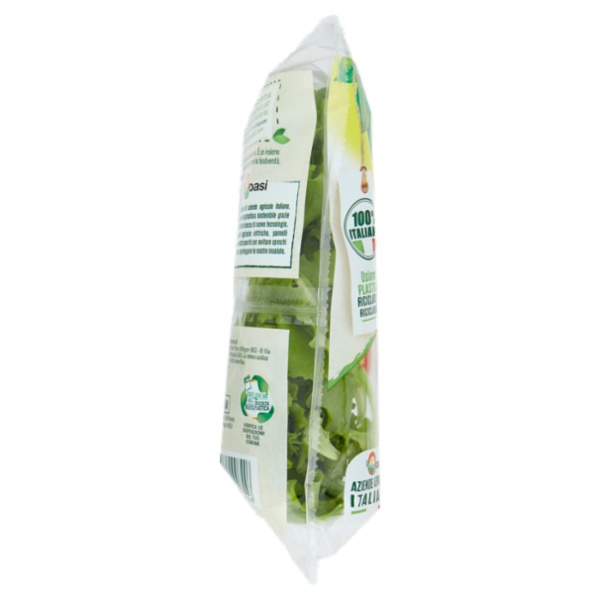 Bonduelle Mix Lattugoso 70 g