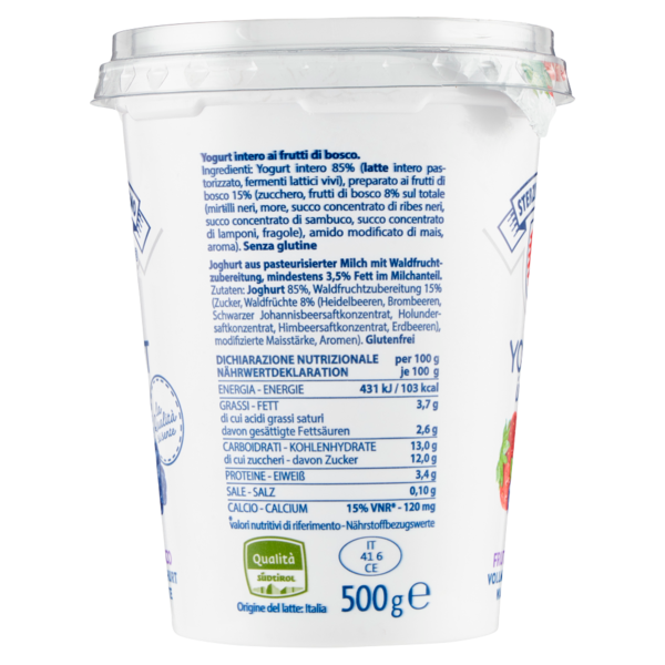 Sterzing Vipiteno Yogurt intero Frutti di Bosco 500 g