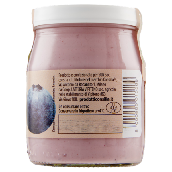 Consilia Yogurt Intero Mirtillo Nero Biologico 150 g