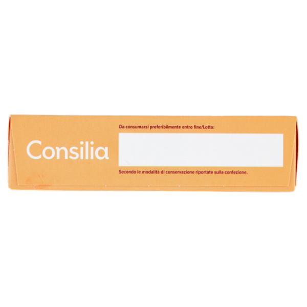 Consilia Bocconcini di Mozzarella Surgelati Panati 250 g