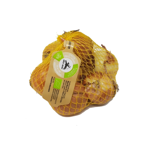 Alcenero Cipolla Dorata Gr 500