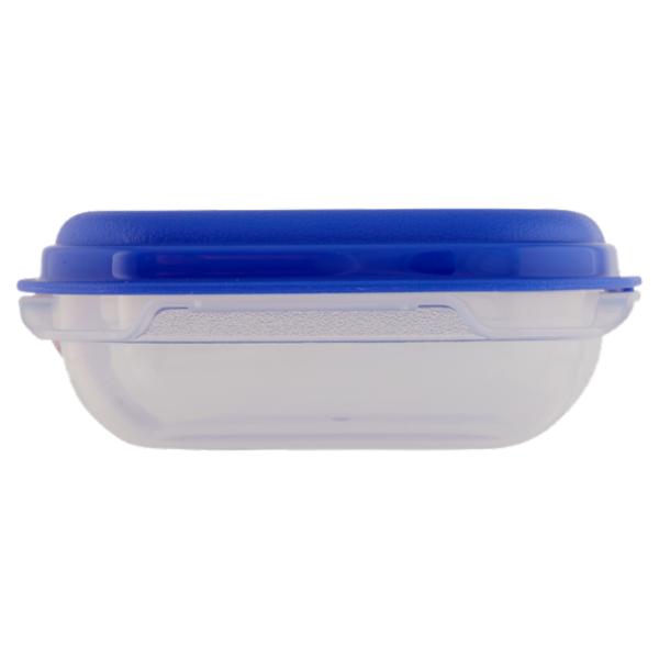 Consilia Saper Scegliere Contenitore Quadrato con Valvola Fresh Wave 0,50 l