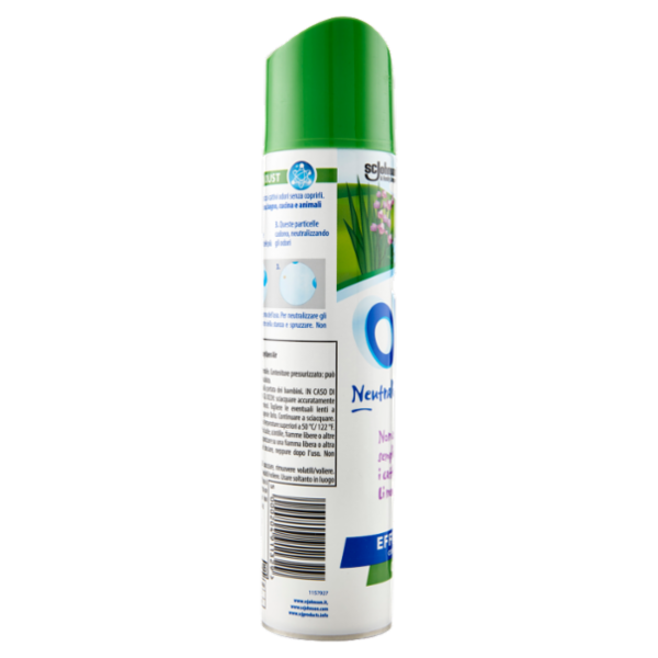 Oust Spray 300ml