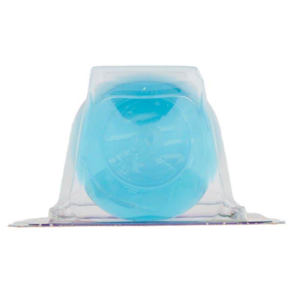 mister Magic l'Assorbiodori Frigo con Bicarbonato e Sale Marino 40 g