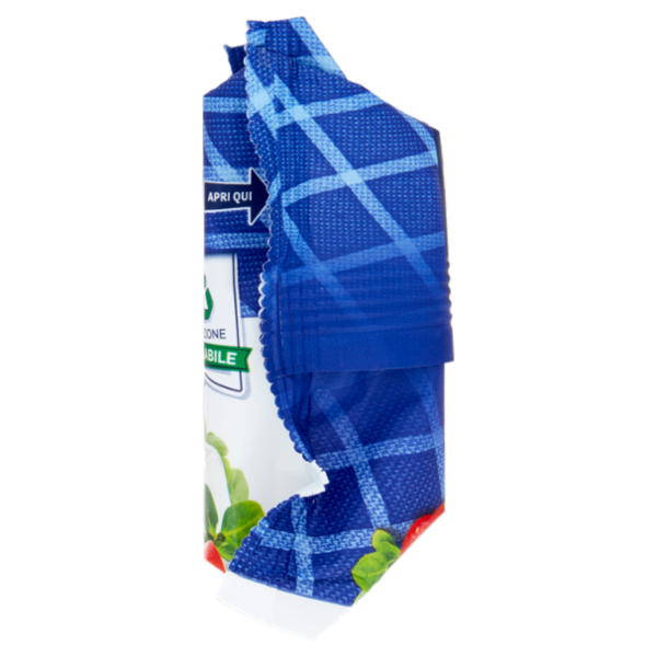 Galbani Certosa Crescenza Italiana 165 g