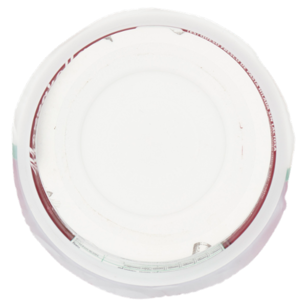 Deliziosa Mozzarella Senza lattosio 125 g