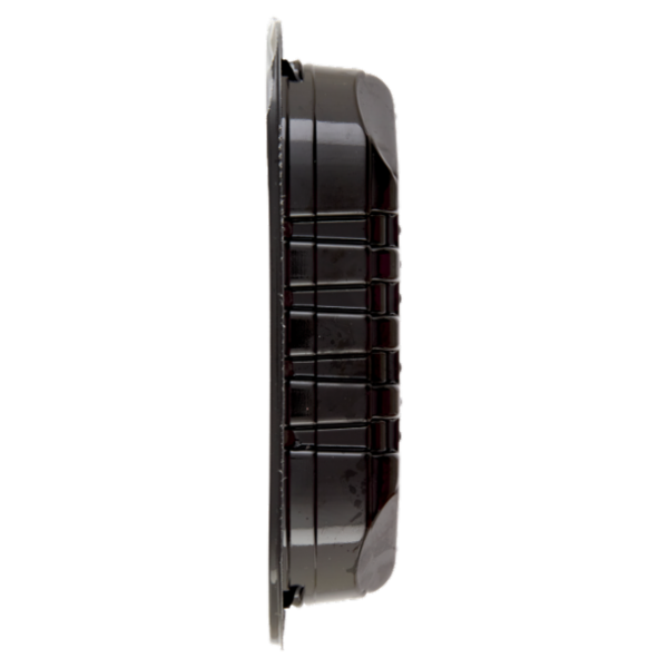 Aquolina Insalata Saporita 300 g