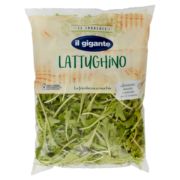 IL GIGANTE le Insalate Lattughino 180 g