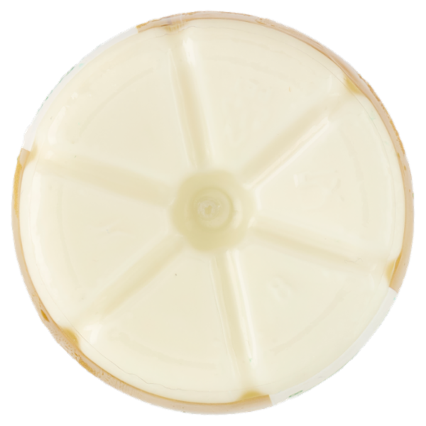 Milk Kefir Bio Bianco Naturale 480g