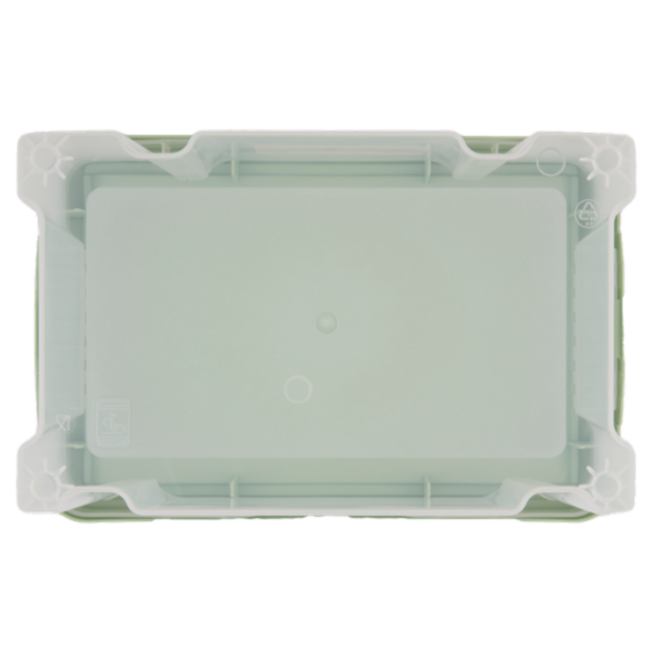 Selex Contenitore con Coperchio a Scatto Verde Cammeo 5 L