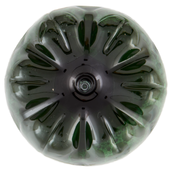 San Benedetto Thè Verde & Cactus 0,5 L