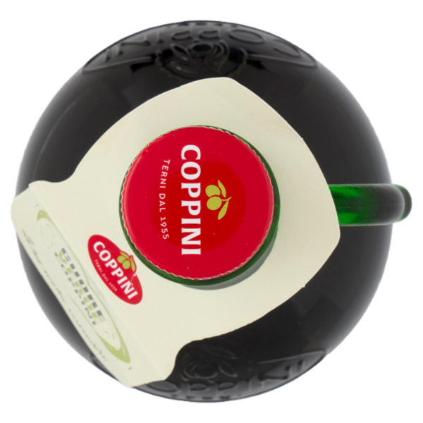 Coppini Olio Extra Vergine di Oliva Classico 1 L