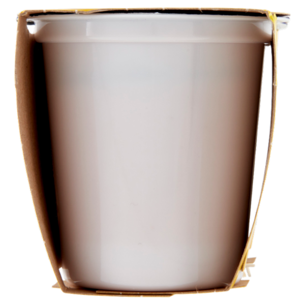 Centrale del latte Vicenza Yogurt Intero Frutta Frullata Fragola 2 x 125 g