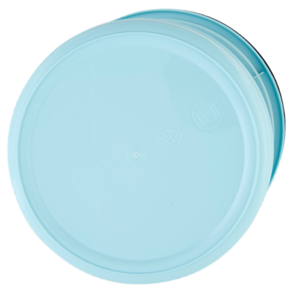 Selex Secchio Diametro 25 cm Azzurro 7 L