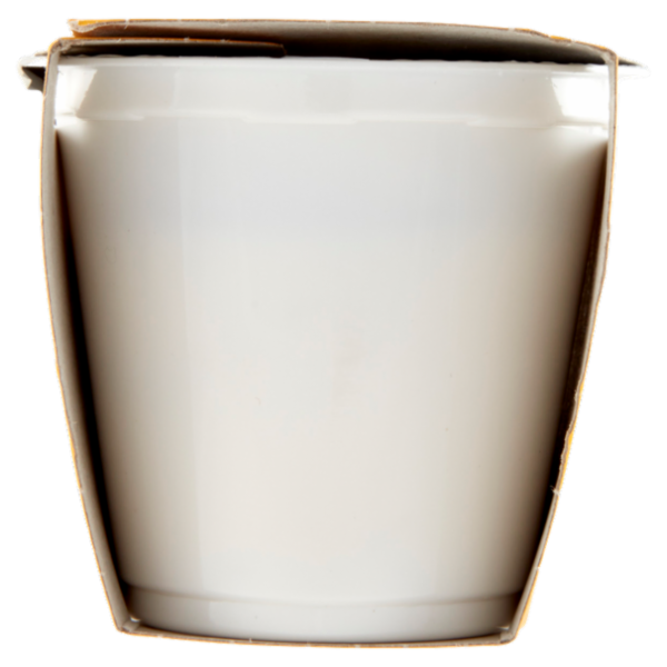 Consilia Yogurt Intero Banana con Frutta in Pezzi 2x125 g