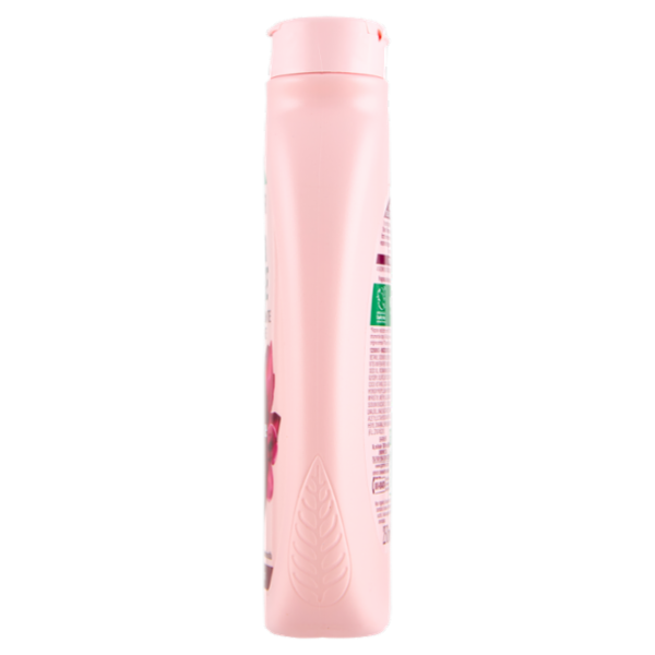 Garnier Ultra Dolce Shampoo Idratante & Rigenerante Idratazione d'Uva 250 ml