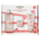 equilibra Kit Viso Rosa Ialuronica Idratante