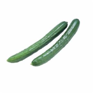 Cetrioli Lunghi Confezionati 1 pz 300g