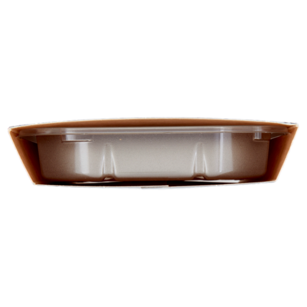 Food Evolution ParePancetta Dadini di Soia 165 g