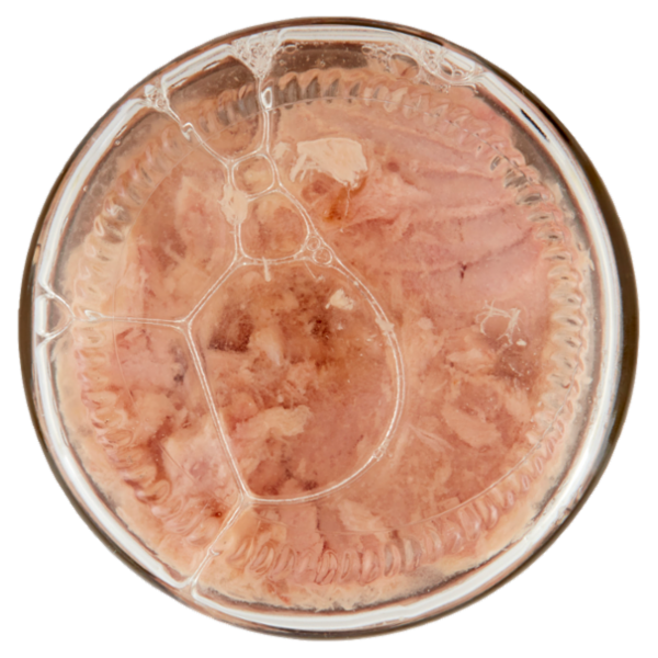 Rizzoli Filetti di Tonno al Naturale 200 g