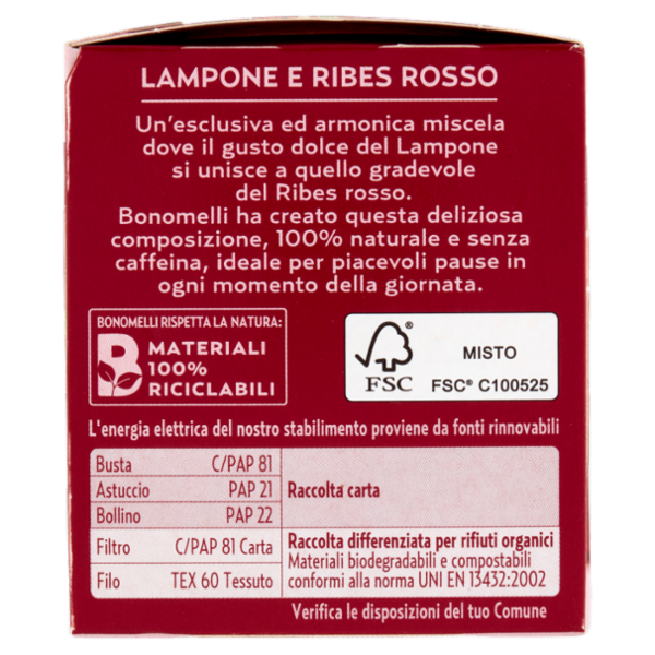 Bonomelli Infusi Fruttosi 100% Naturali Lampone e Ribes Rosso 12 Filtri 24 g