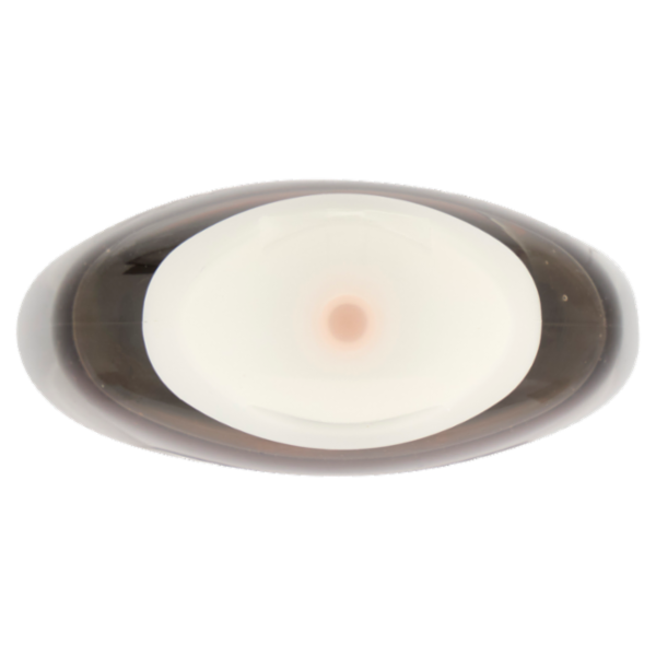 Neutro Roberts Doccia Shampoo Cedro e Zenzero Energizzante 250 ml