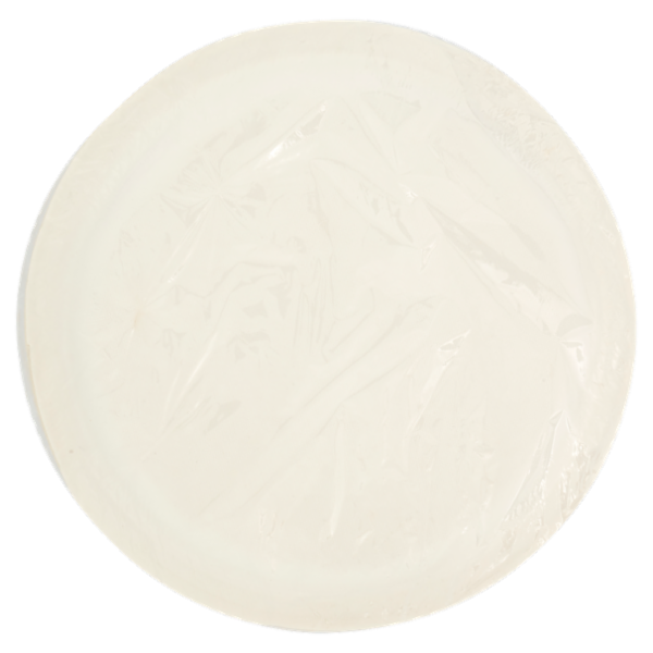 Vanto Piatti Piani in Polpa di Cellulosa Biodegradabili e Compostabili 50 pezzi