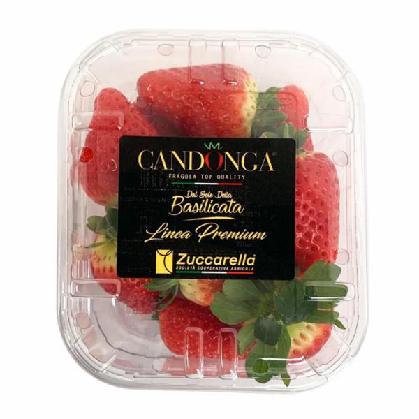 Fragole Vassoio Gr.250