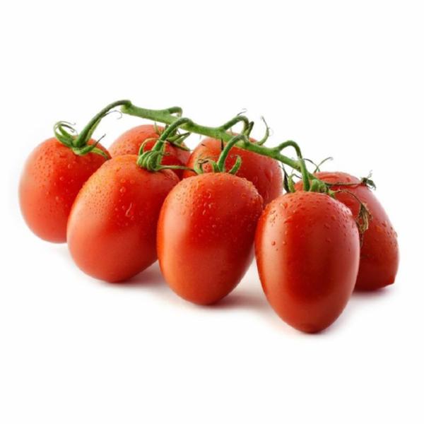 Pomodoro Datterino Olanda