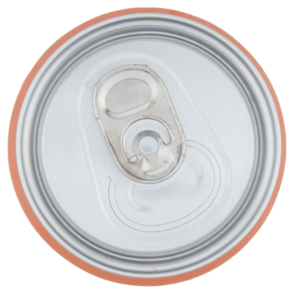 FUZE TEA, Tè Nero Pesca con una nota di Rosa Sleek Can 330ml