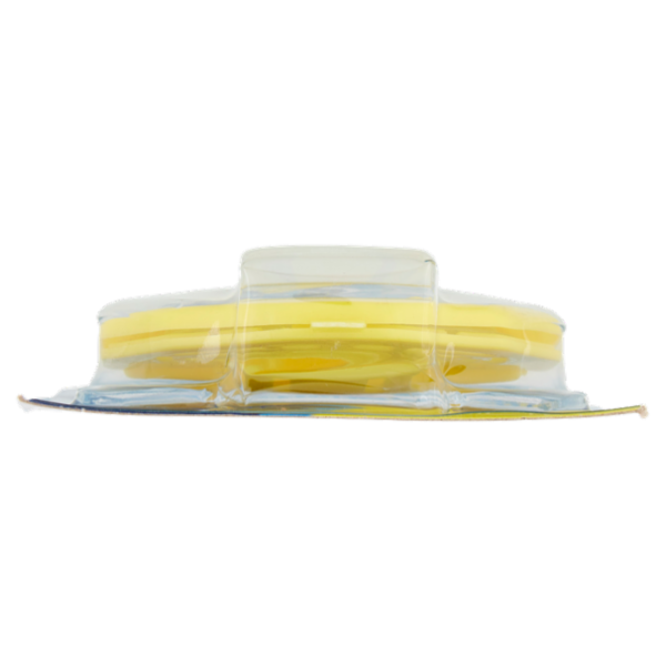 Consilia Deodorante per Lavastoviglie Limone 4 g